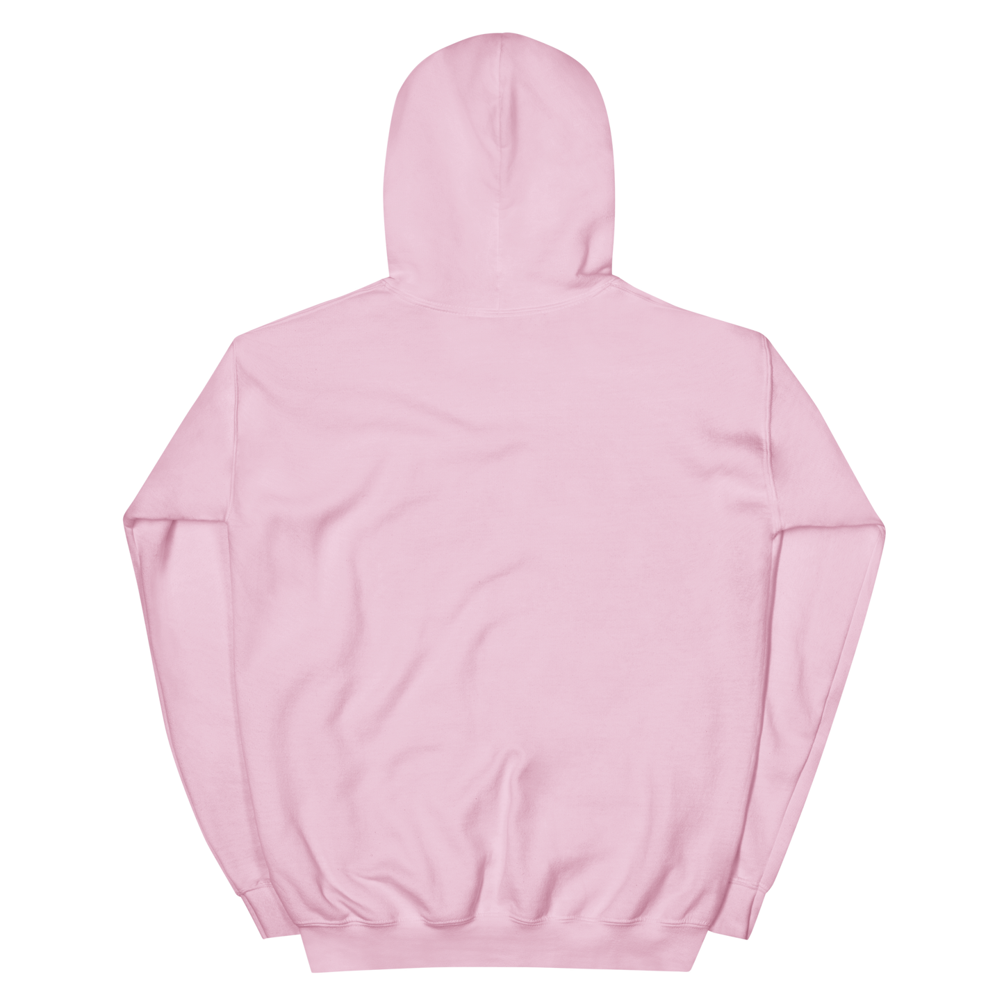 VA Logo Classic Pink Hoodie